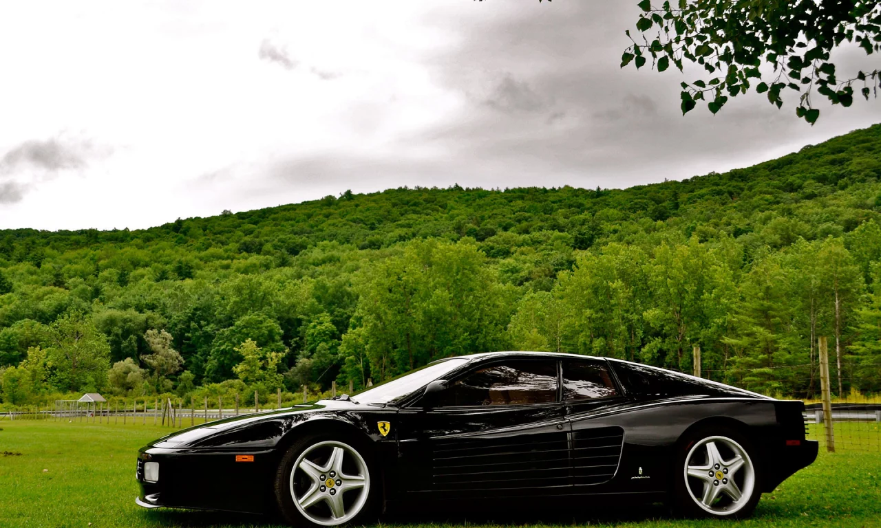 черный, природа, лес, ferrari