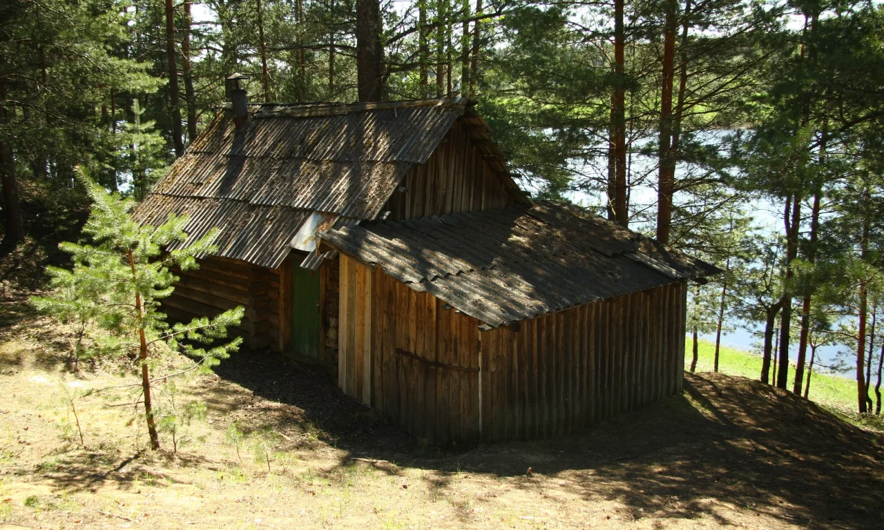 прогулка, отдых, опушка, природа, баня, река, сосенки, настроение, утро