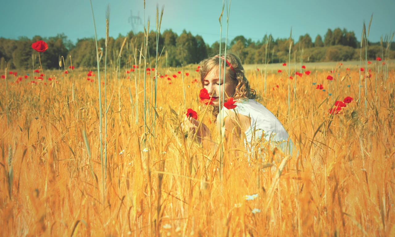 маки, девушка, тепло, небо, цветы, лето, колосья, поле, природа, настроение, солнце
