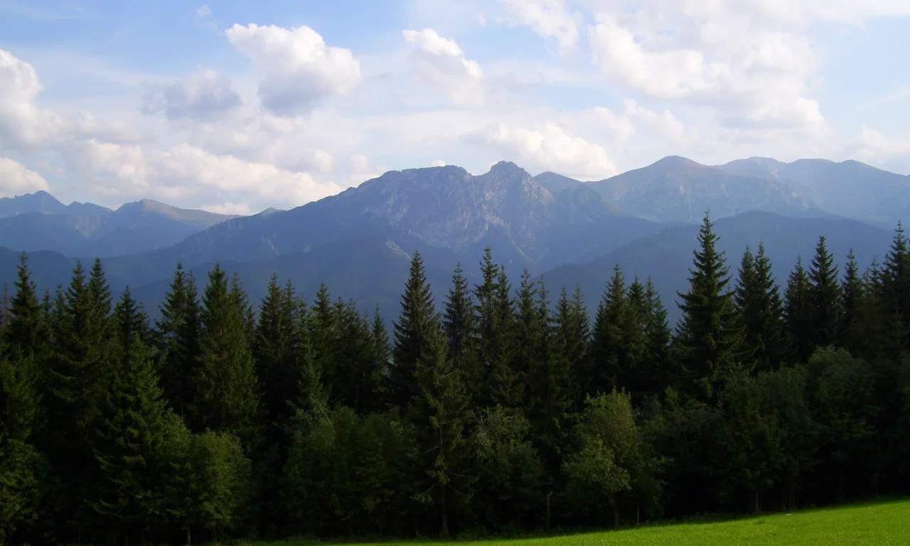 горы, поляна, лес, природа, луг, деревья, трава, облака, небо
