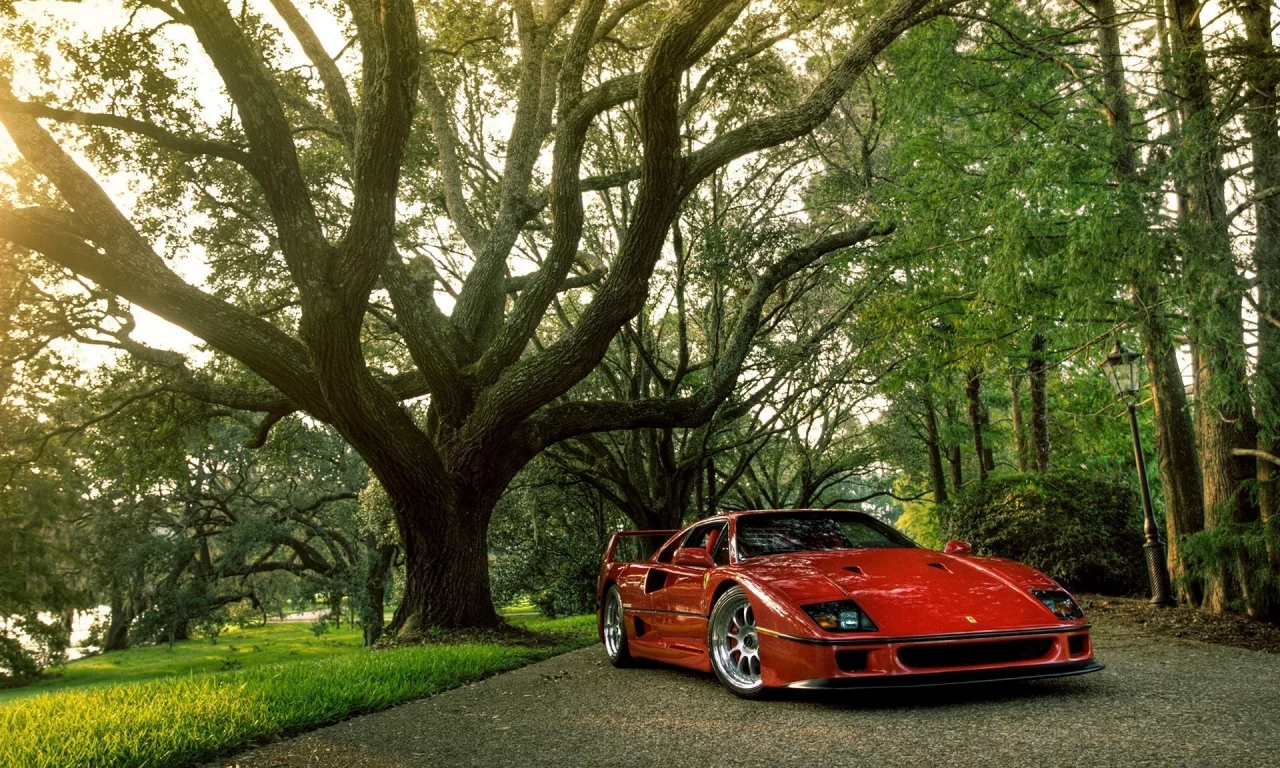 ferrari, блеск, природа, красная