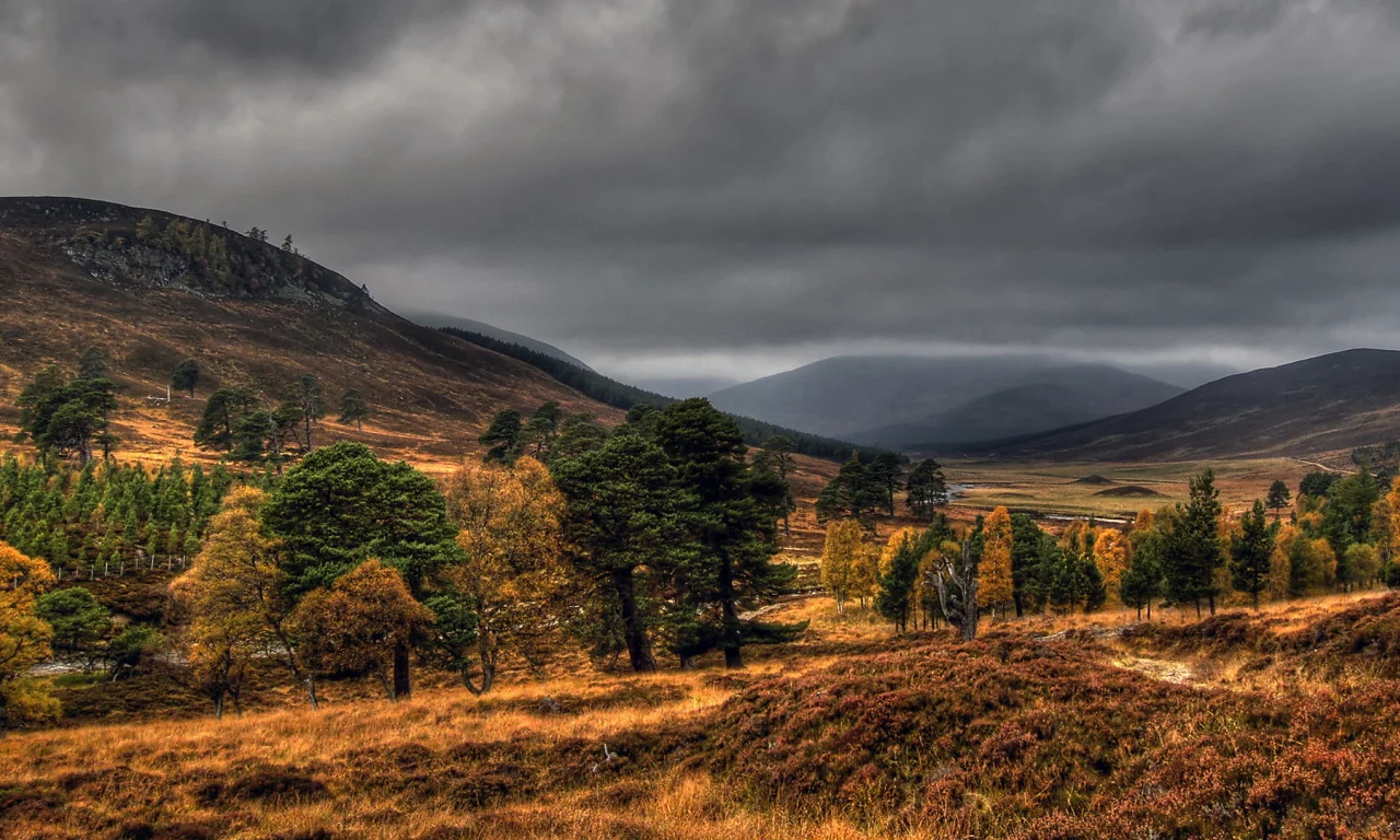 national, nature, geographic, autumn