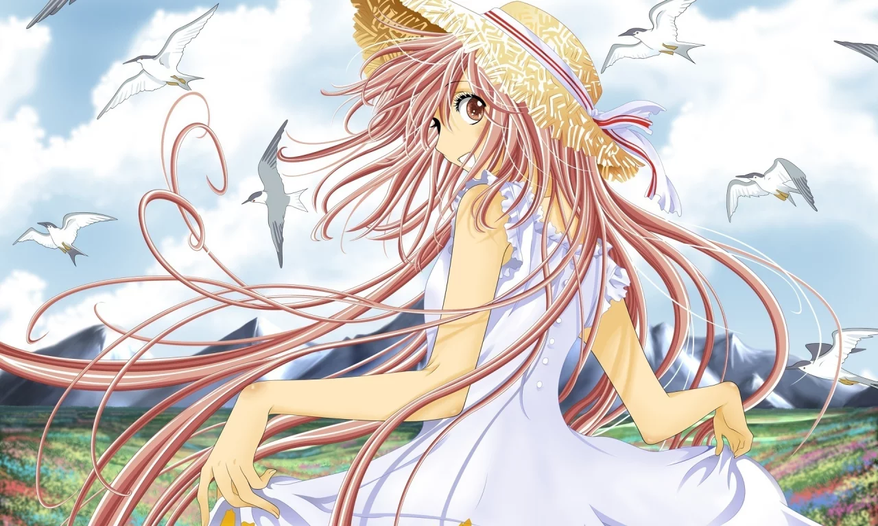 clamp, hanato kobato, шляпка, чайки, длинные волосы, девушка