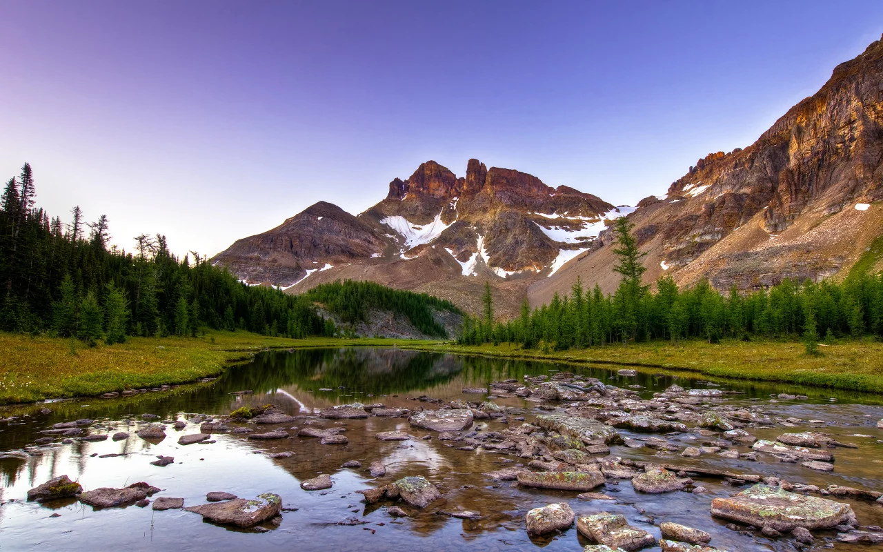 камни, горы, канада, вечер, canada, река, ели