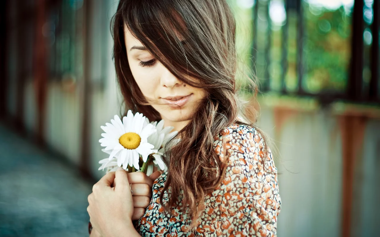 девушка, girl, daisy, ромашка