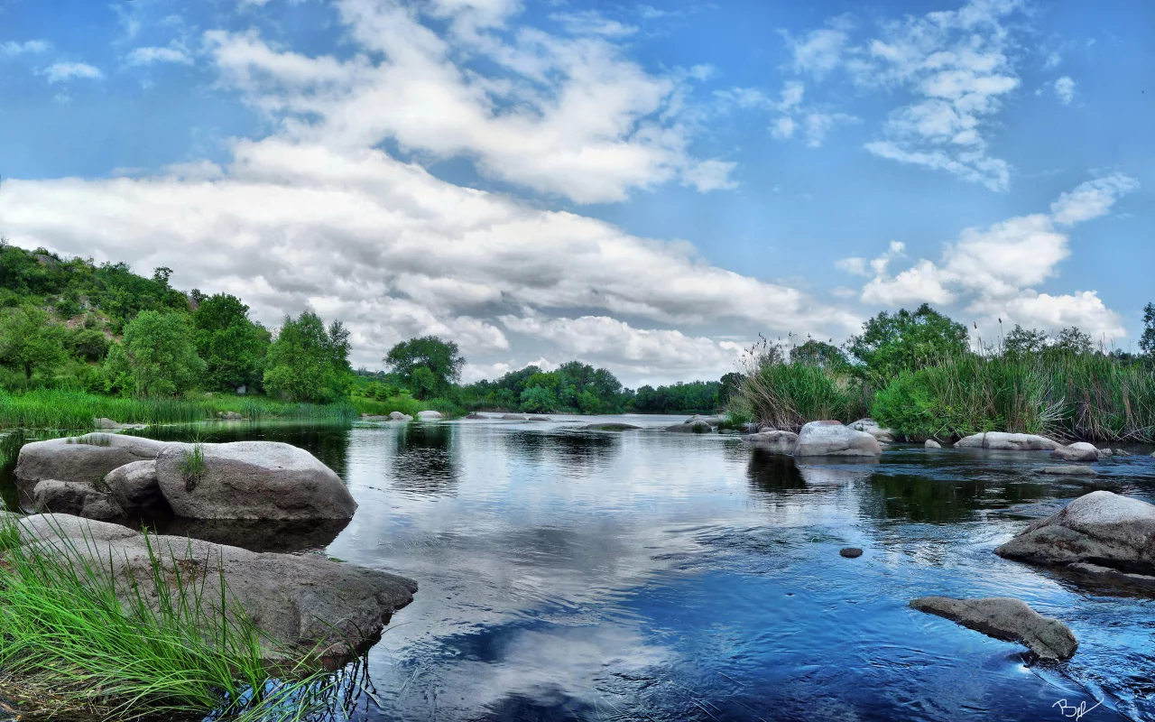 вода, река, лес, отражение, растительность, камни
