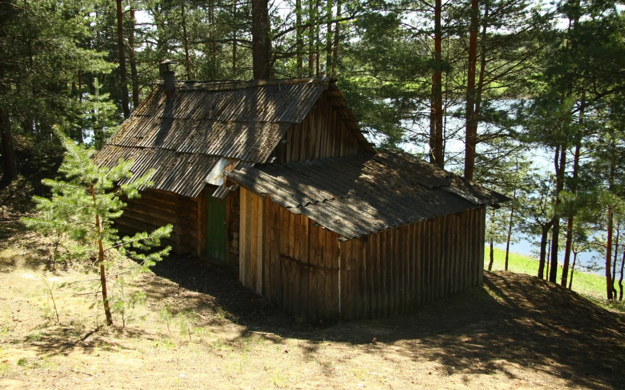 прогулка, отдых, опушка, природа, баня, река, сосенки, настроение, утро