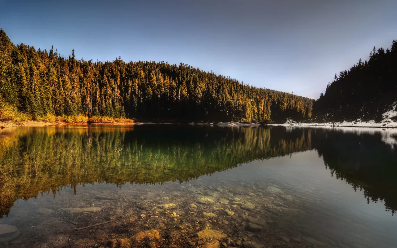 деревья, холмы, вода, nature, природа, отражение, лес, озеро, снег