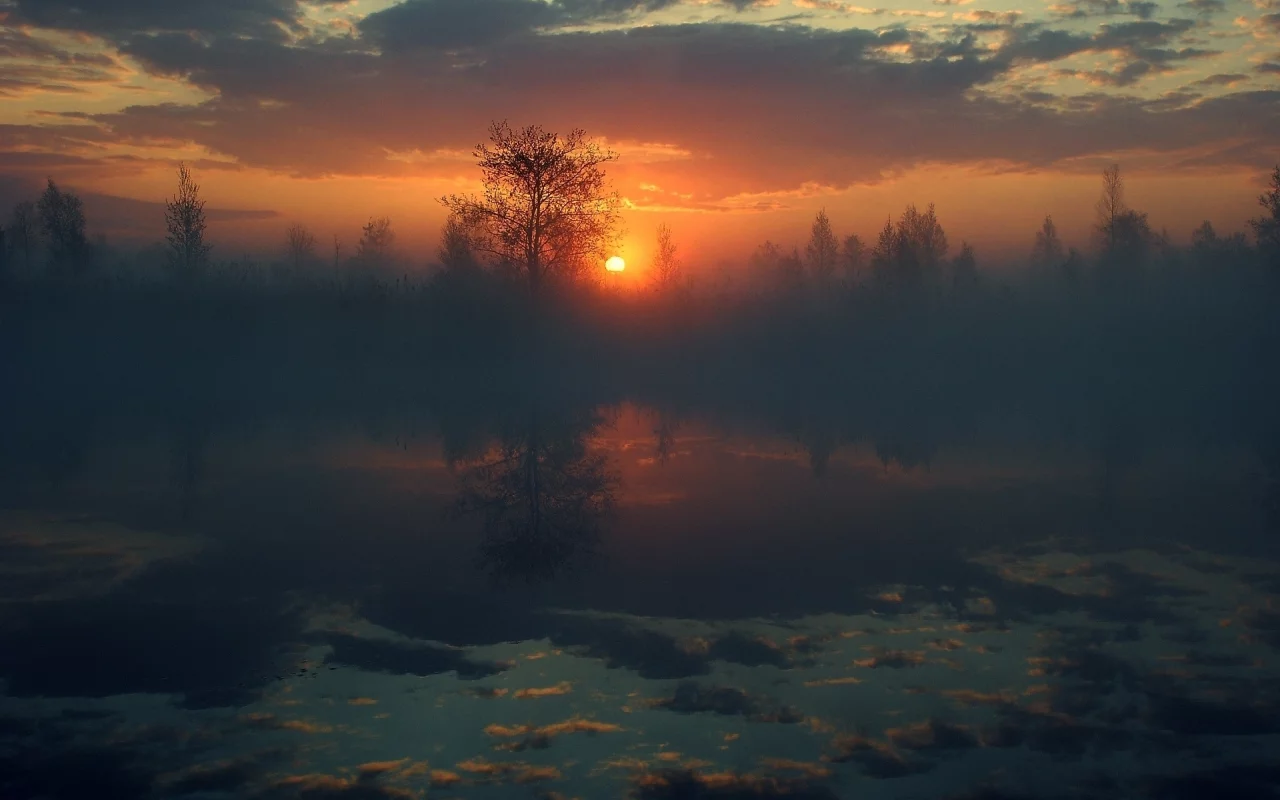 солнце, небо, вода, отражение, деревья