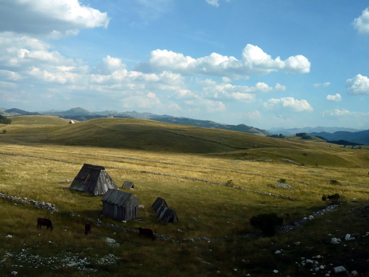 пастбища, луга, горы