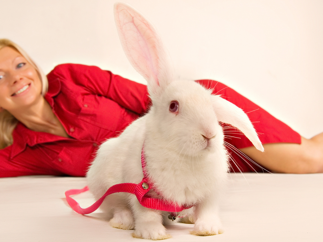 Новогодняя фотосессия с кроликом