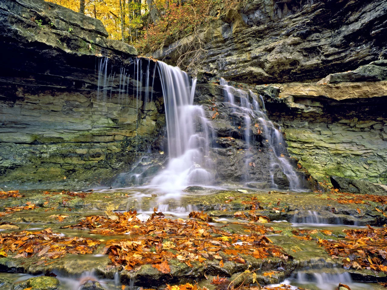 осень, водопад, листья