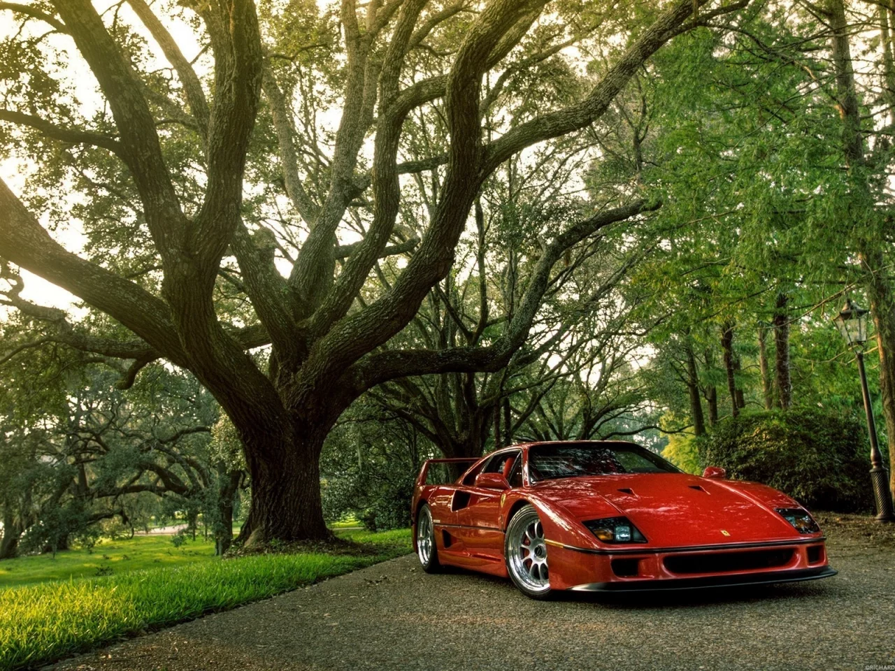 ferrari, блеск, природа, красная