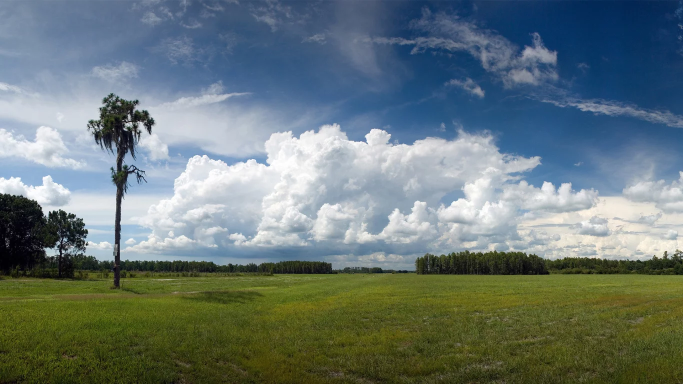 зелёный луг, geographic, небо, голубое, national, деревья, nature
