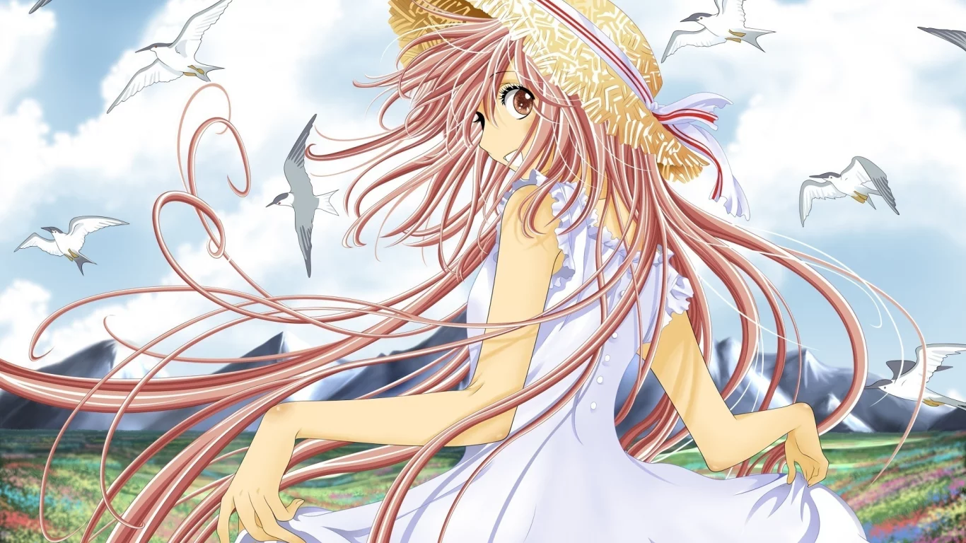 clamp, hanato kobato, шляпка, чайки, длинные волосы, девушка