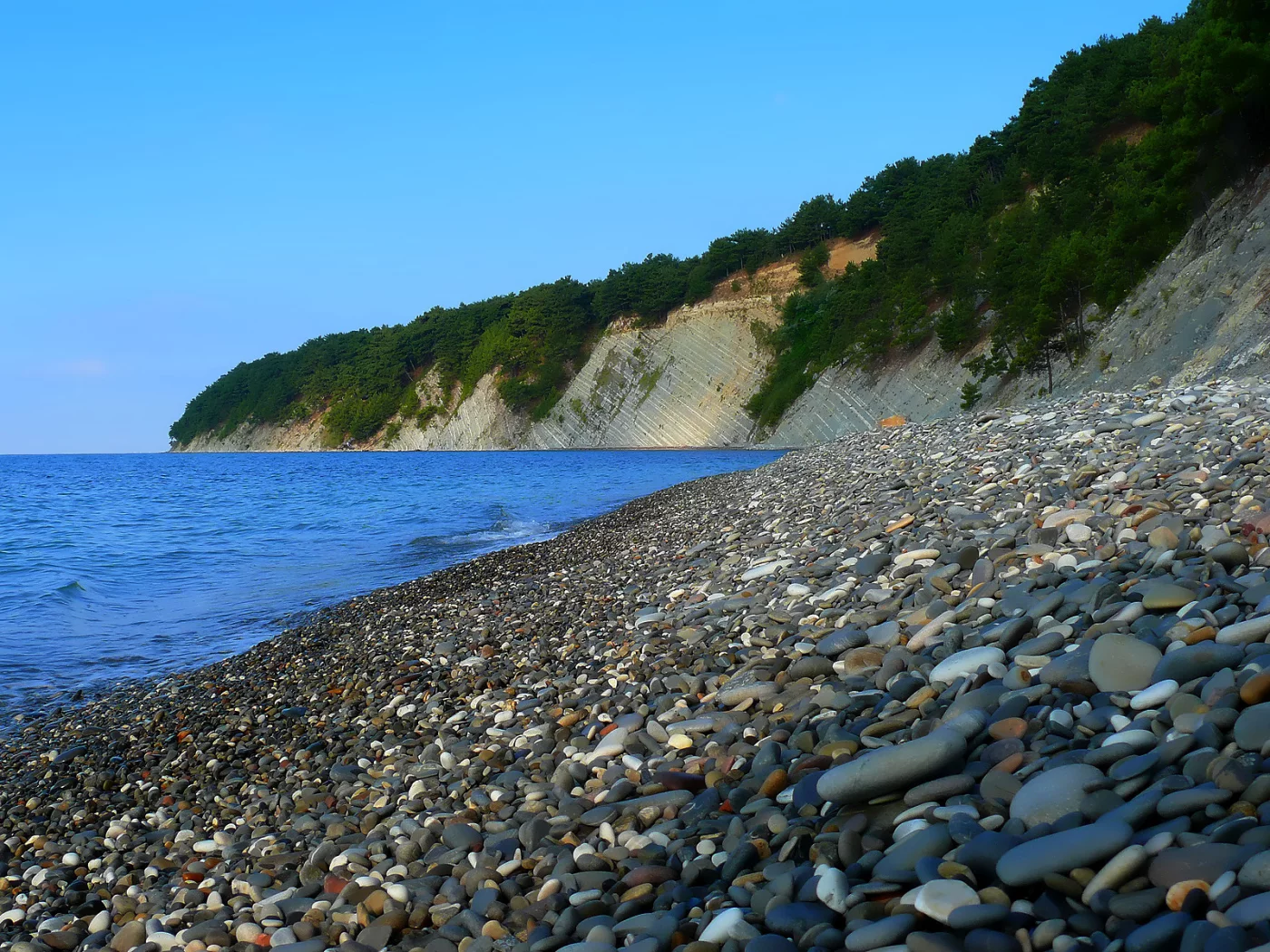 камни, пляж, море, кусты