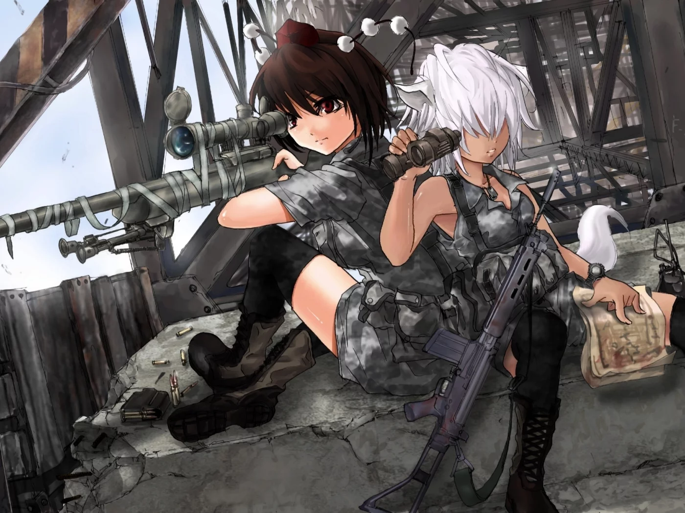 хвост, патроны, карта, уши, touhou, девушки, винтовка, оружие, неко