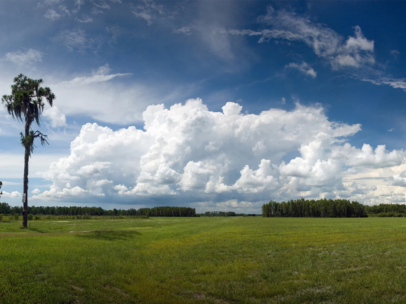 зелёный луг, geographic, небо, голубое, national, деревья, nature