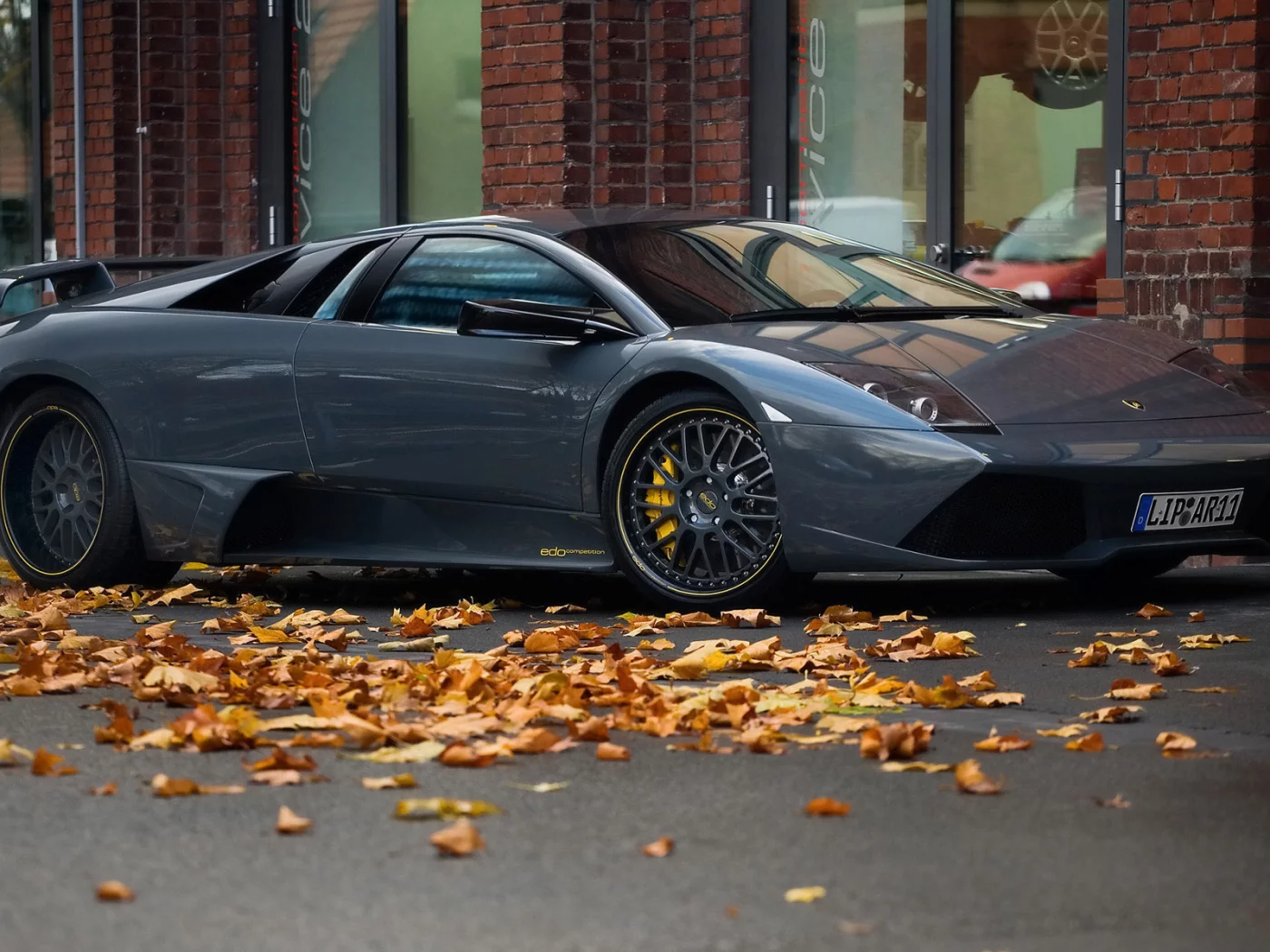 серый, murcielago, суперкар, lamborghini, листва