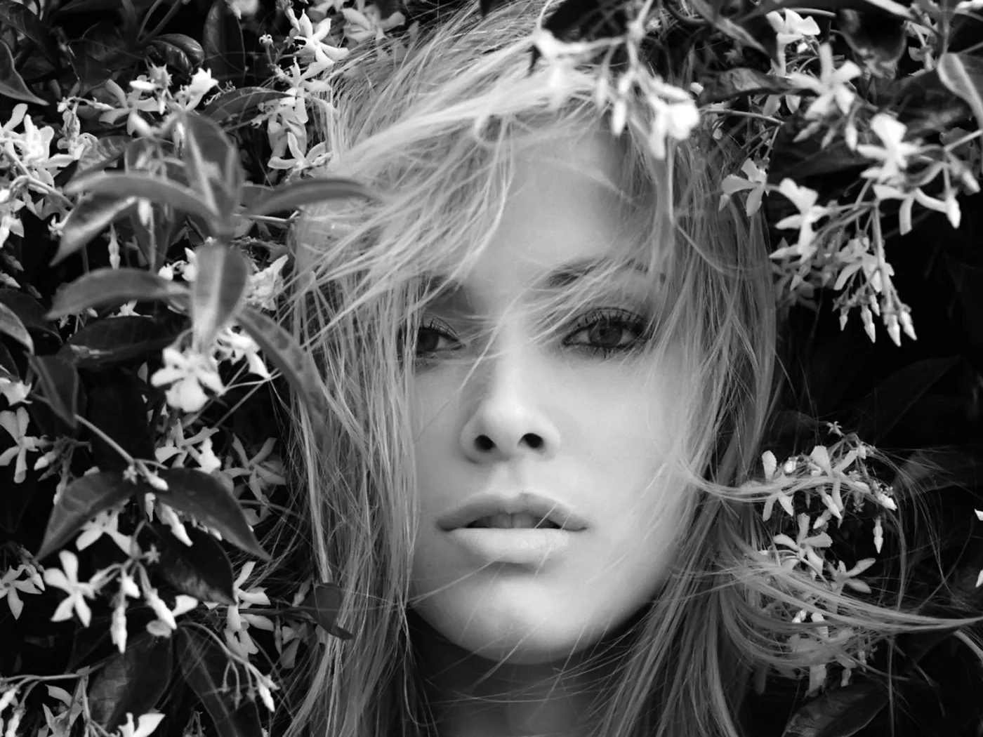 актриса, kristanna loken, чб, взгляд, черный фон, лицо, волосы, цветы