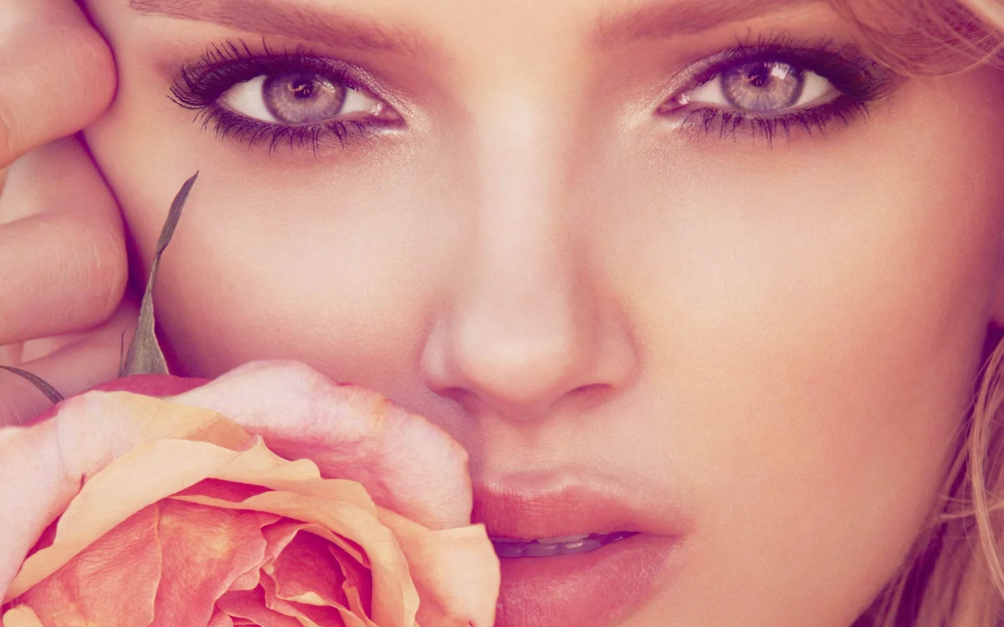 нежность, лицо, макияж, нос, взгляд, лили доналдсон, lily donaldson, роза, топ-модель, губы, глаза, девушка