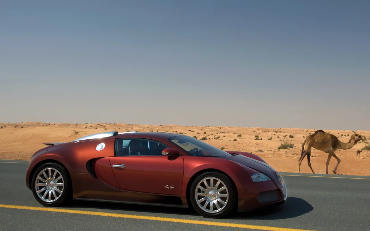 бугатти, вейрон, camel, veyron, гиперкар, bugatti, верблюд, бордовый, пустыня