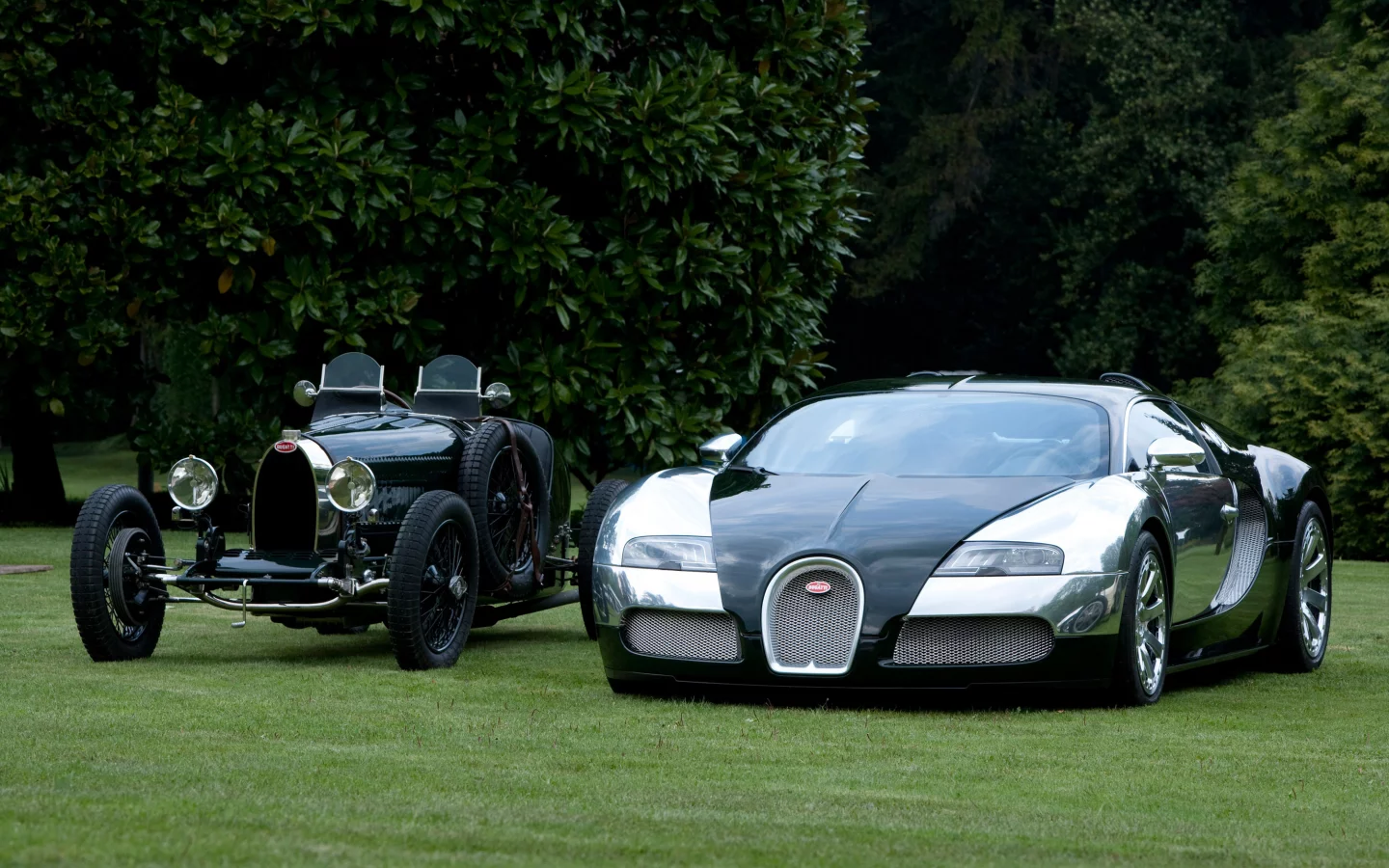 bugatti veyron, bugatti grand prix, природа, черный