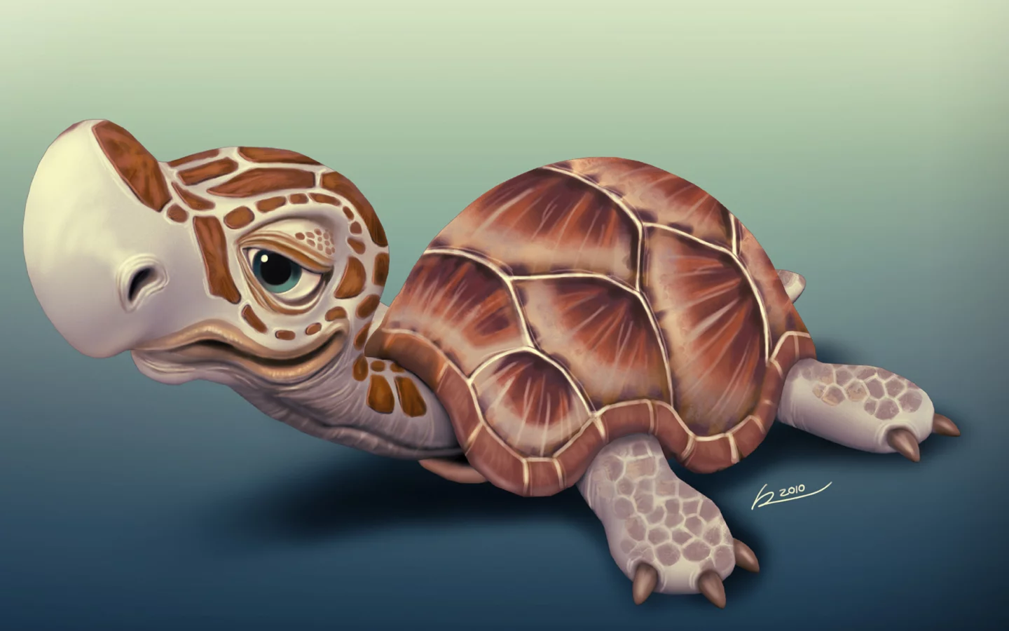маленькая, p_o_r__turtle, черепашка