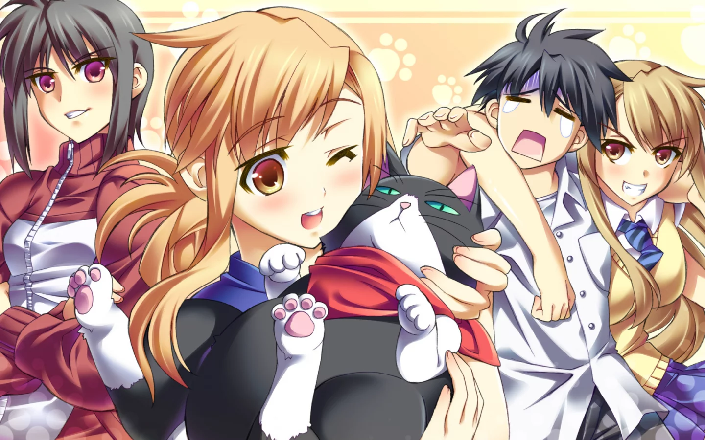 ichinose nagi, nyan koi, девушки, mizuno kaede, kousaka junpei, ibuki mana, парень, nyamsas, кот