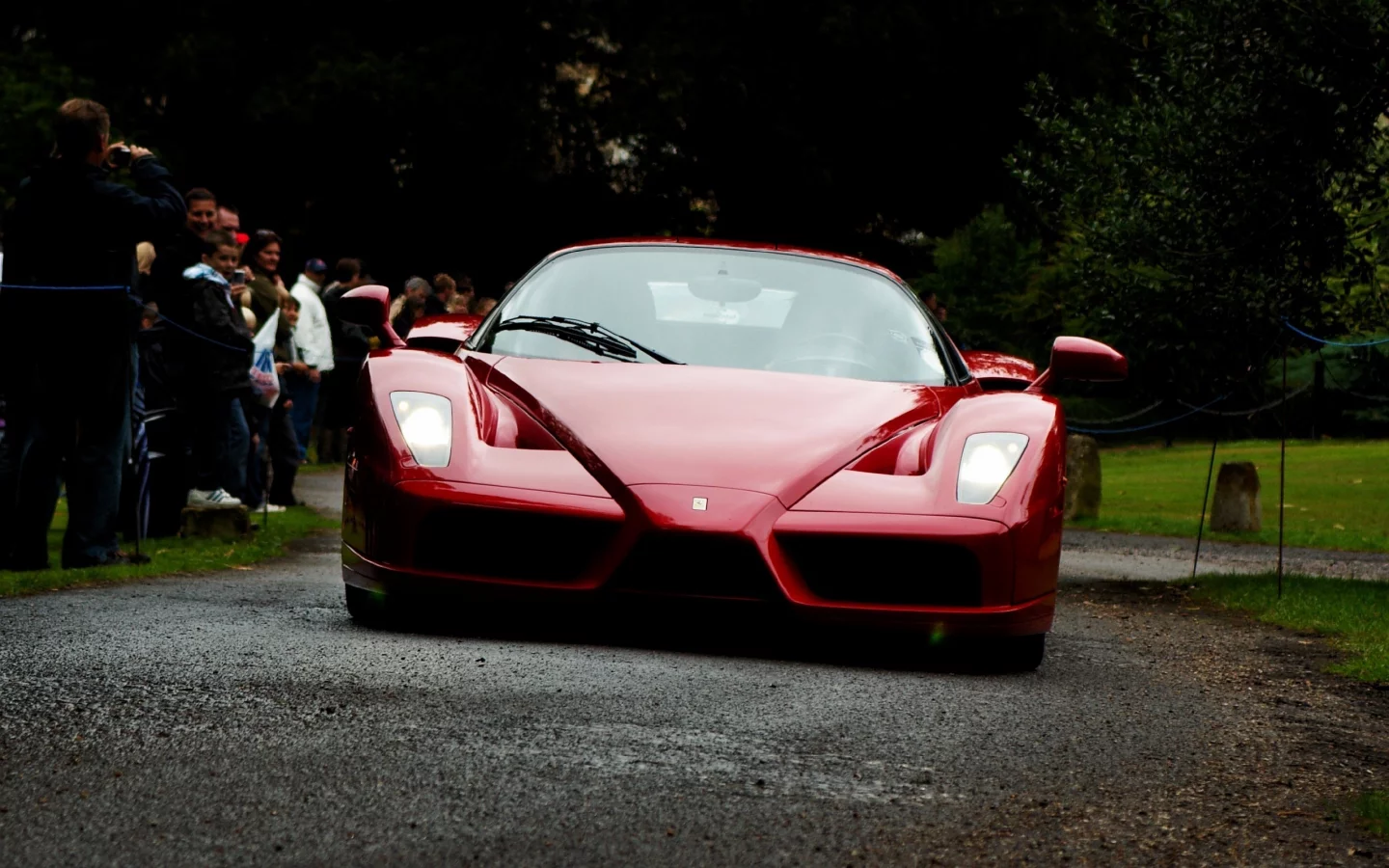 ferrari enzo, red, f50