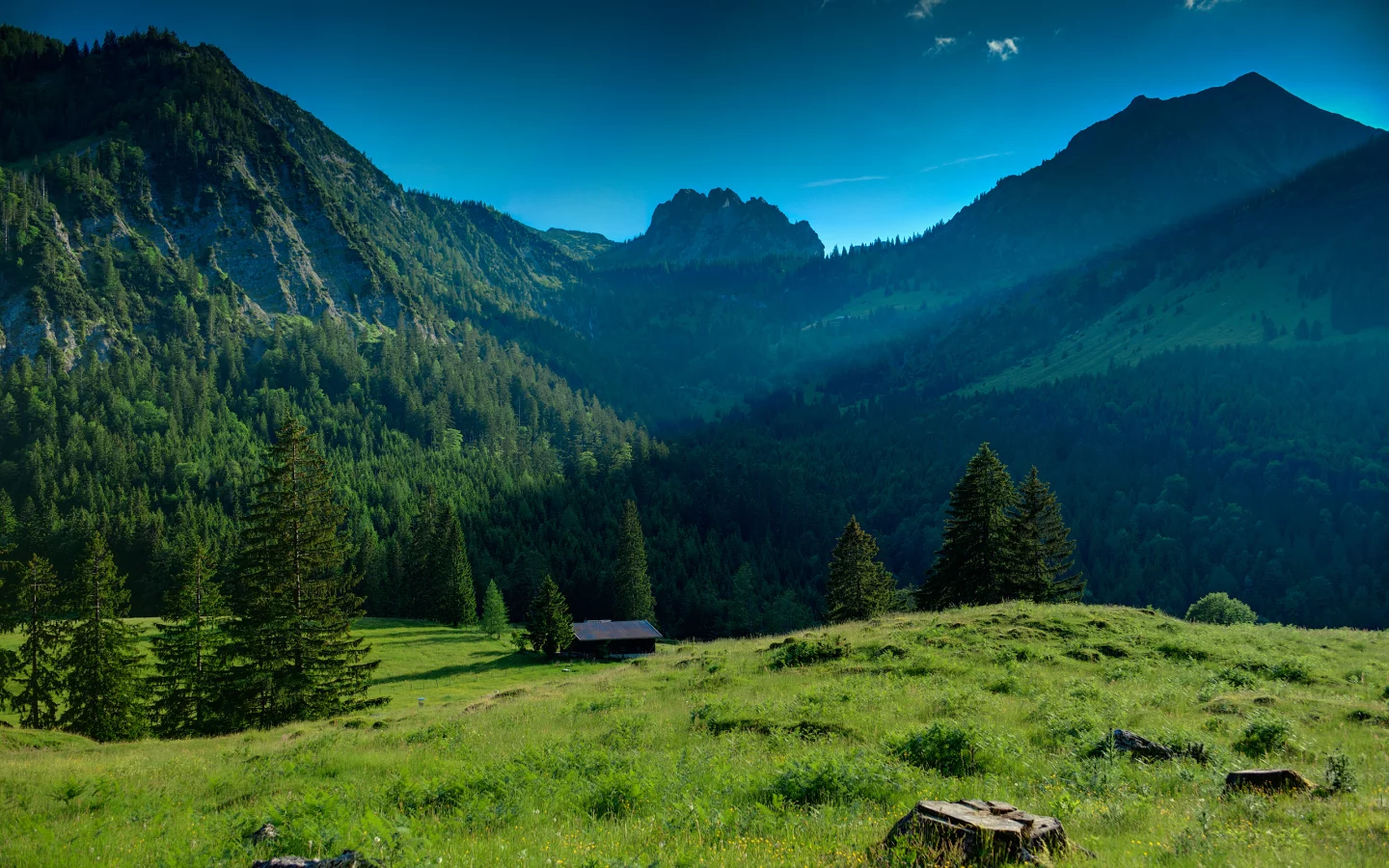 деревья, зелень, небо, landscape, горы, 2560x1600, nature, mountains, grass, greenery, природа, лес, пейзаж, trees, forest, трава, дом, house, sky