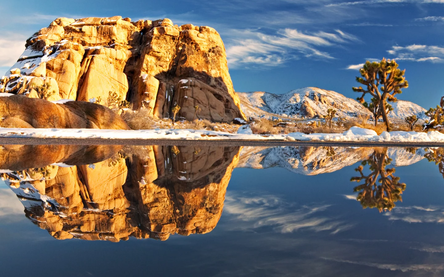 joshua tree national park, камень, природа, америка, пейзаж, озеро, растения, отражение, камни