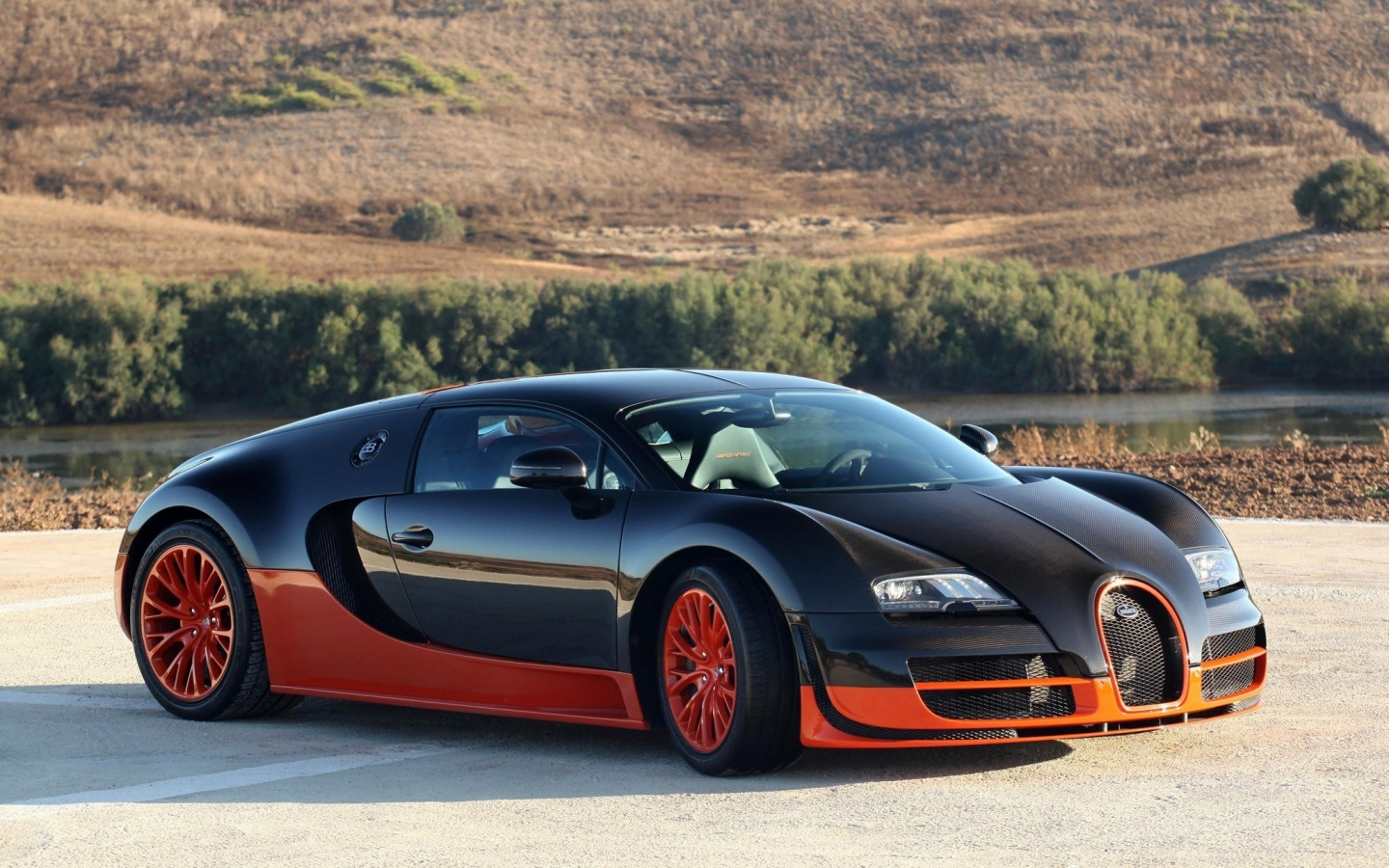 Bugatti Veyron Black