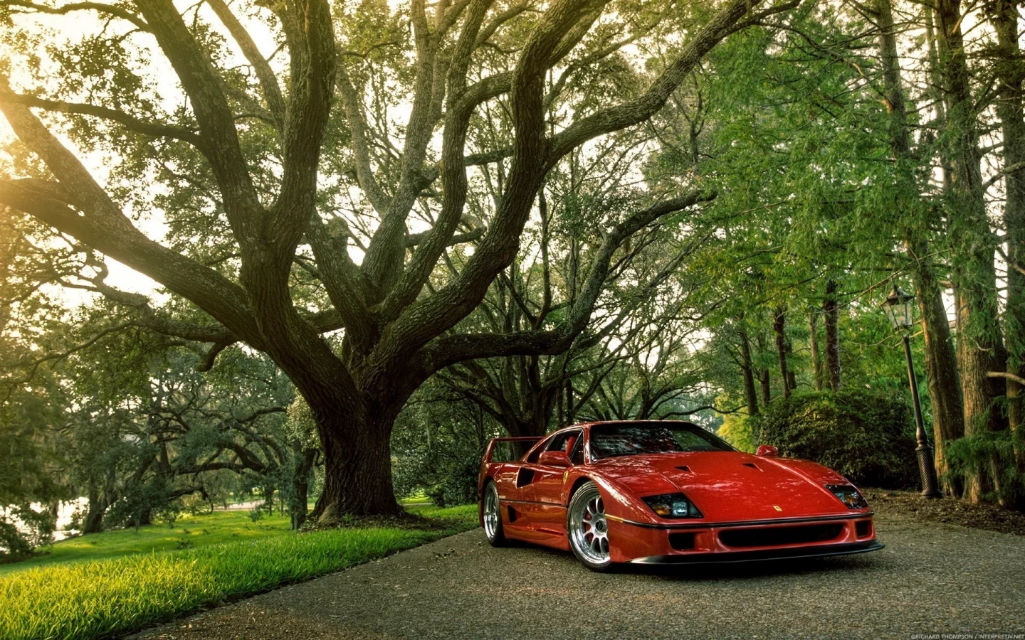 ferrari, блеск, природа, красная