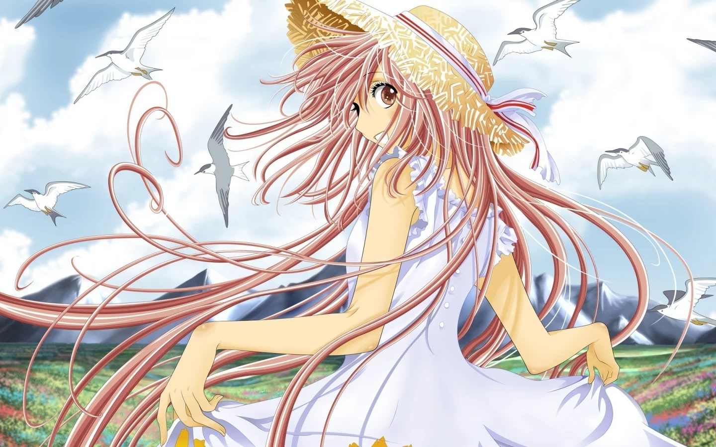 clamp, hanato kobato, шляпка, чайки, длинные волосы, девушка