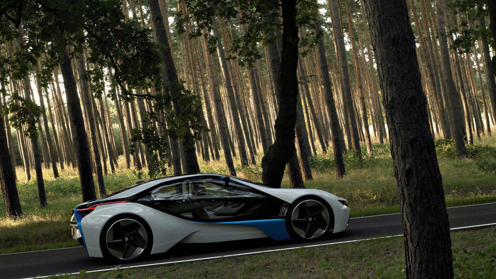 bmw, dynamics, лес, обои, vision, прототип, дорога, сосны