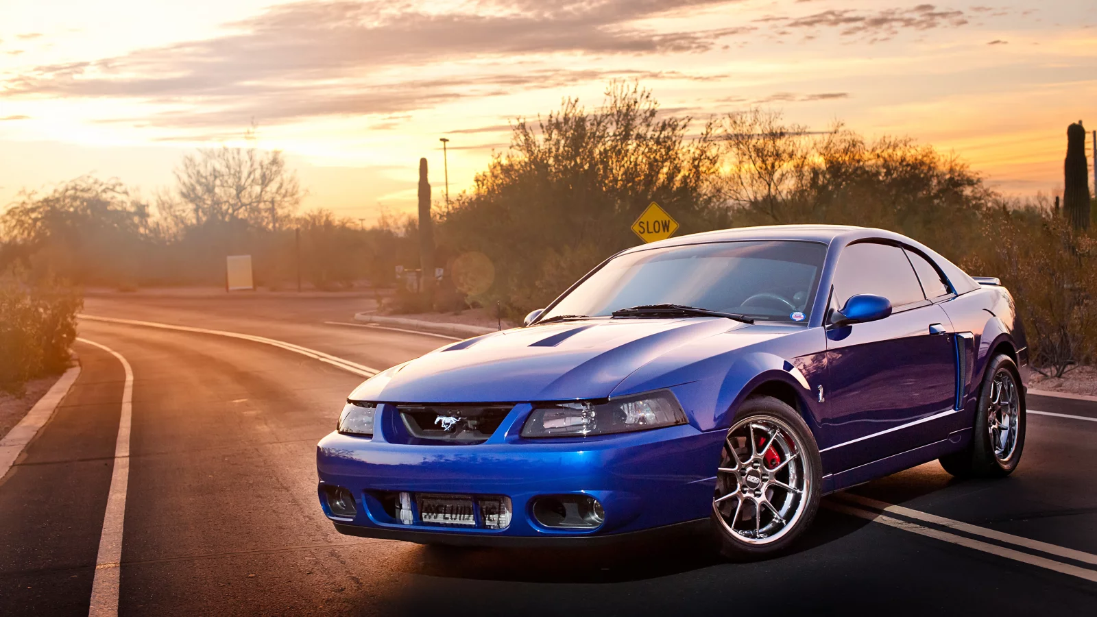 svt, ford, cobra, mustang, terminator