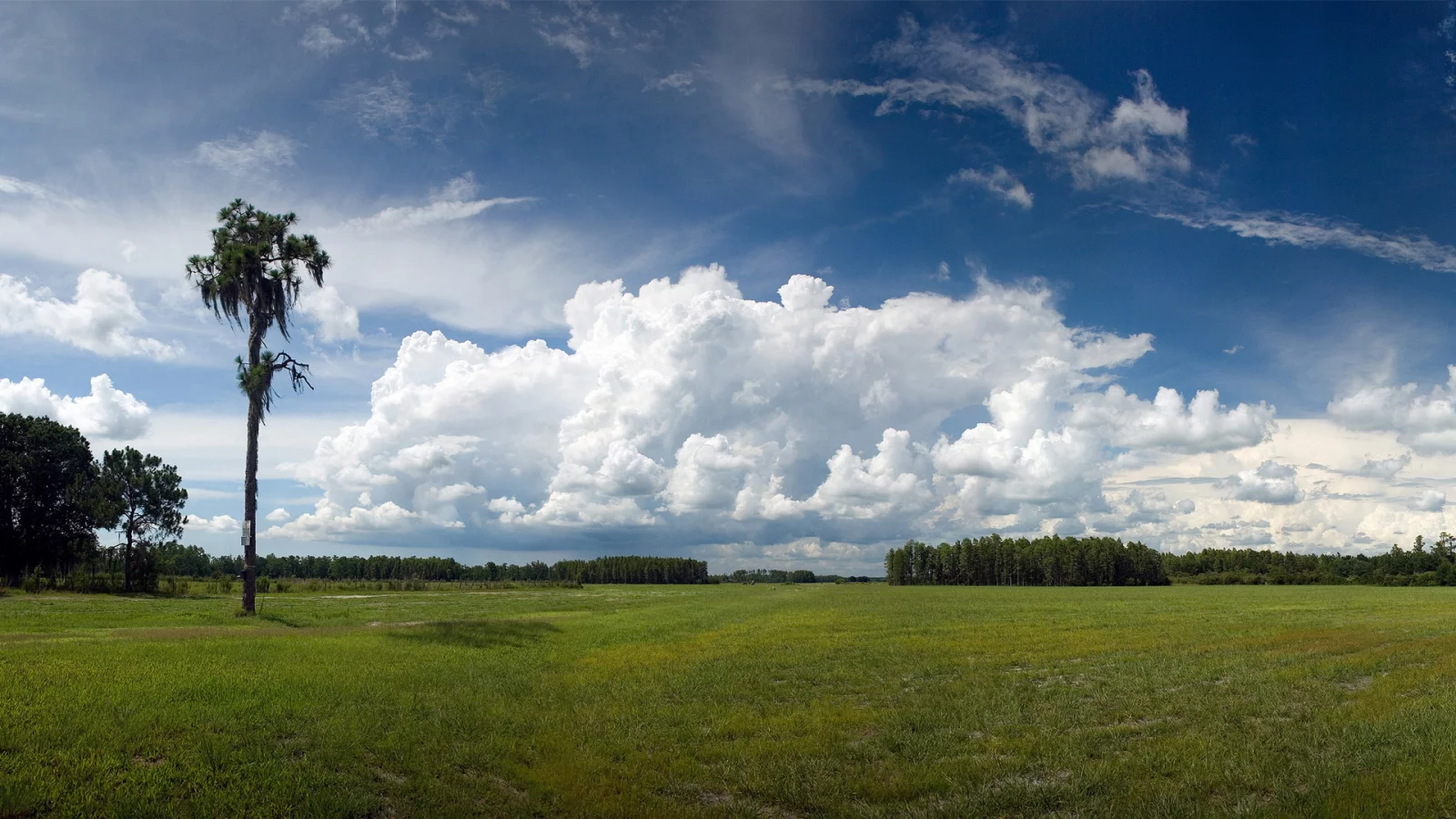 зелёный луг, geographic, небо, голубое, national, деревья, nature