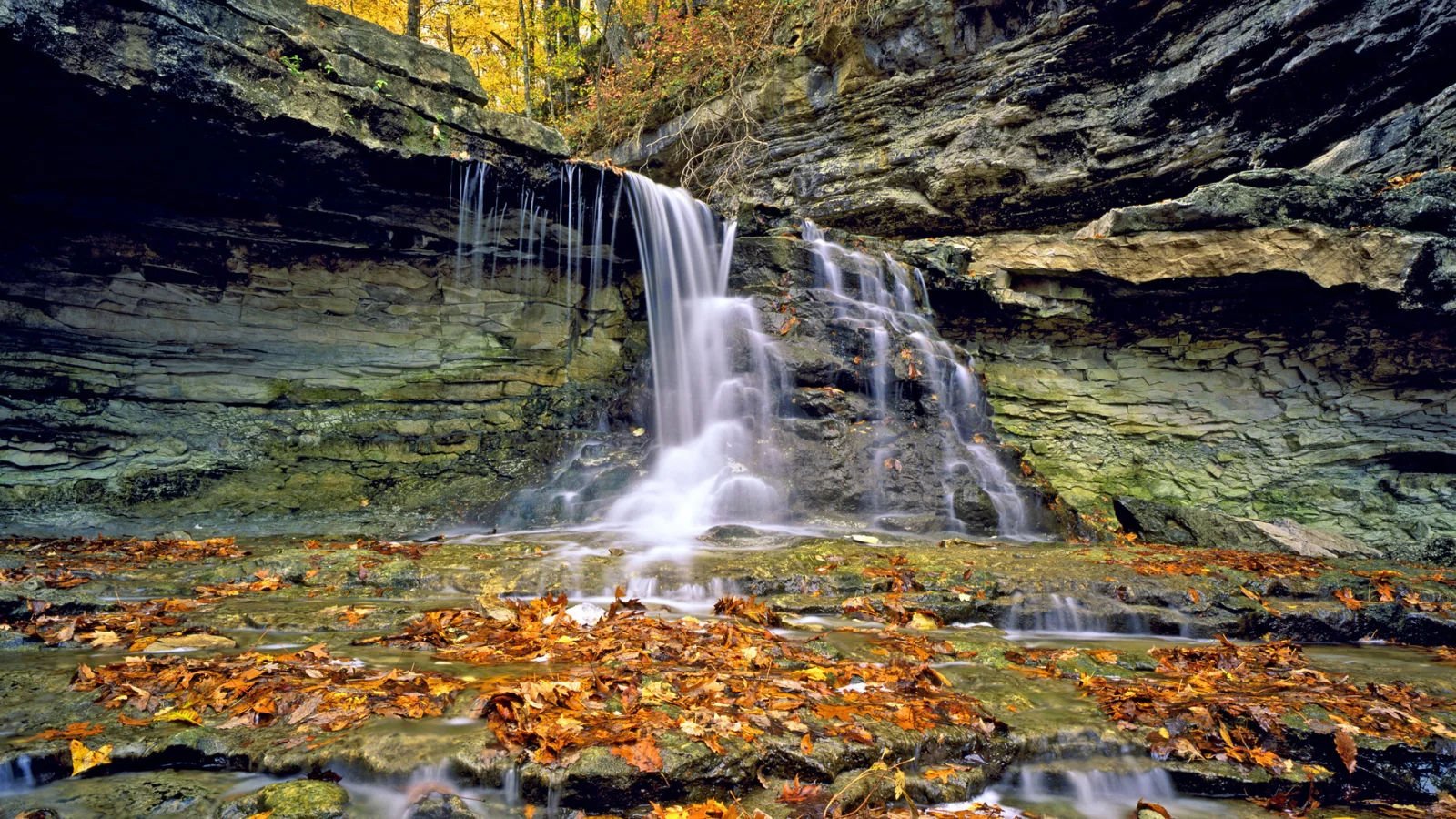 осень, водопад, листья