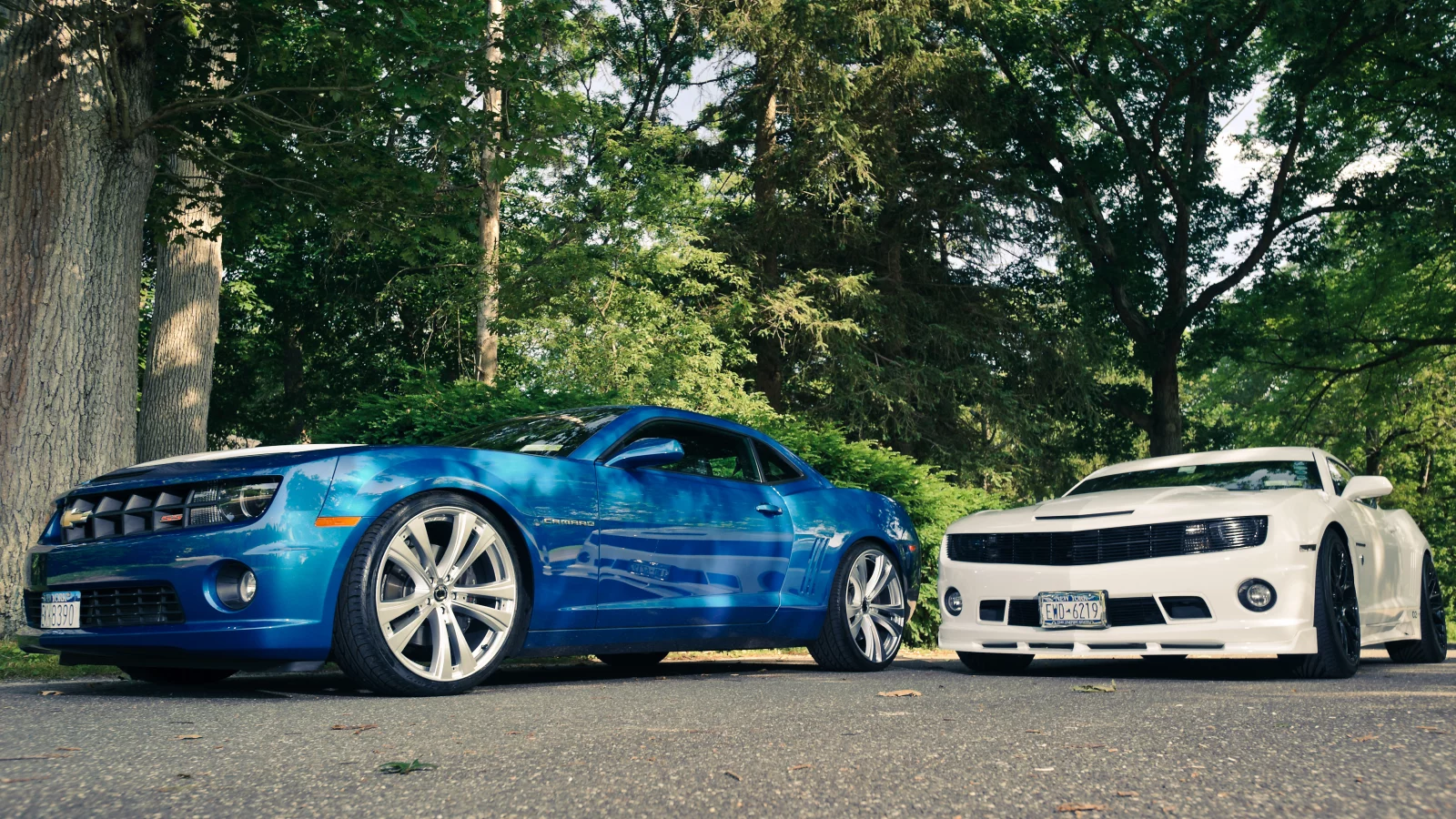 chevrolet, white, camaro, cordon, blue, шевроле, cr-1, белый, камаро, ss, синий, деревья