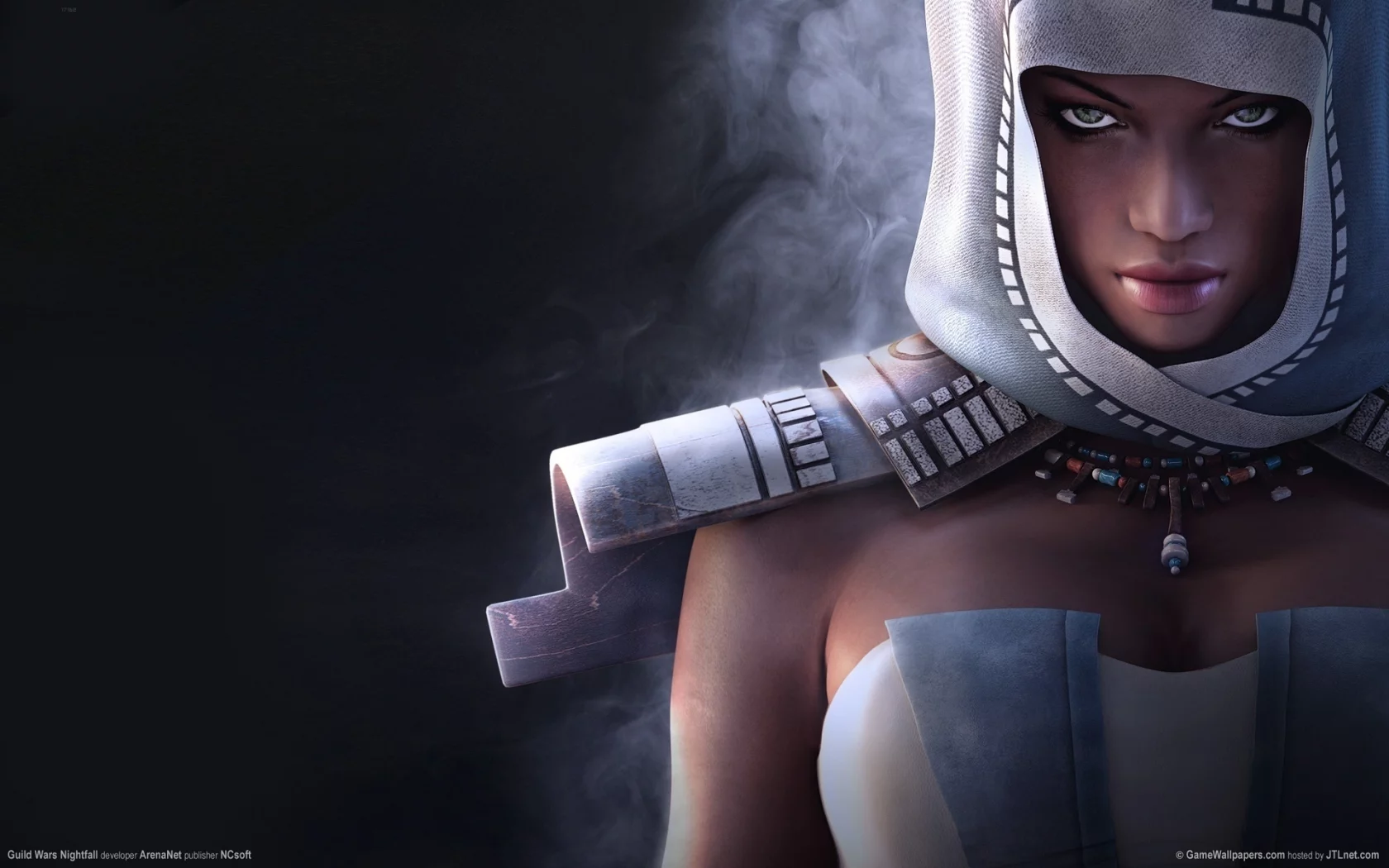 темный фон, девушка, туман, guild wars nightfall, капюшон