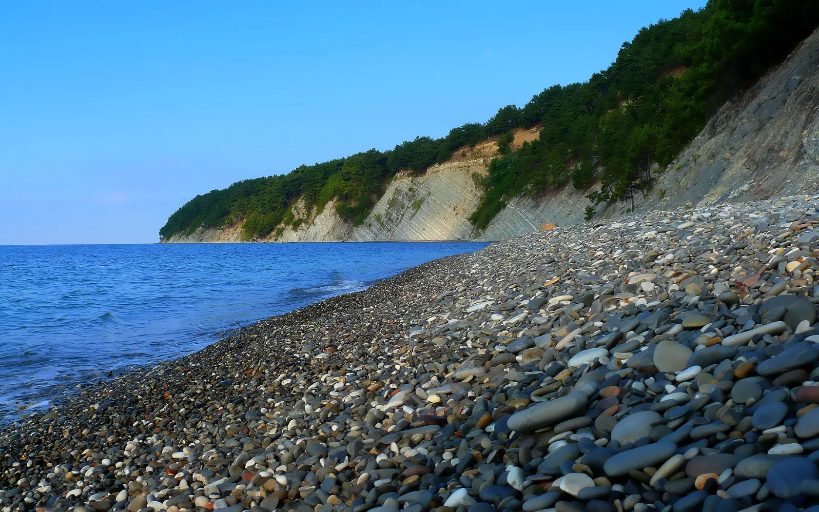 камни, пляж, море, кусты
