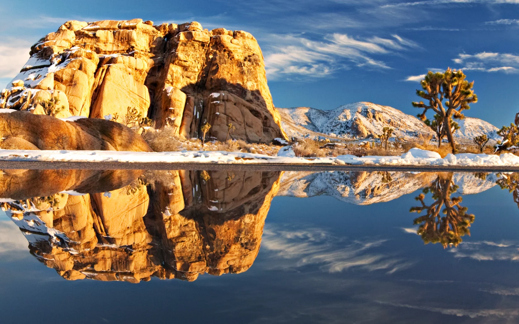 joshua tree national park, камень, природа, америка, пейзаж, озеро, растения, отражение, камни