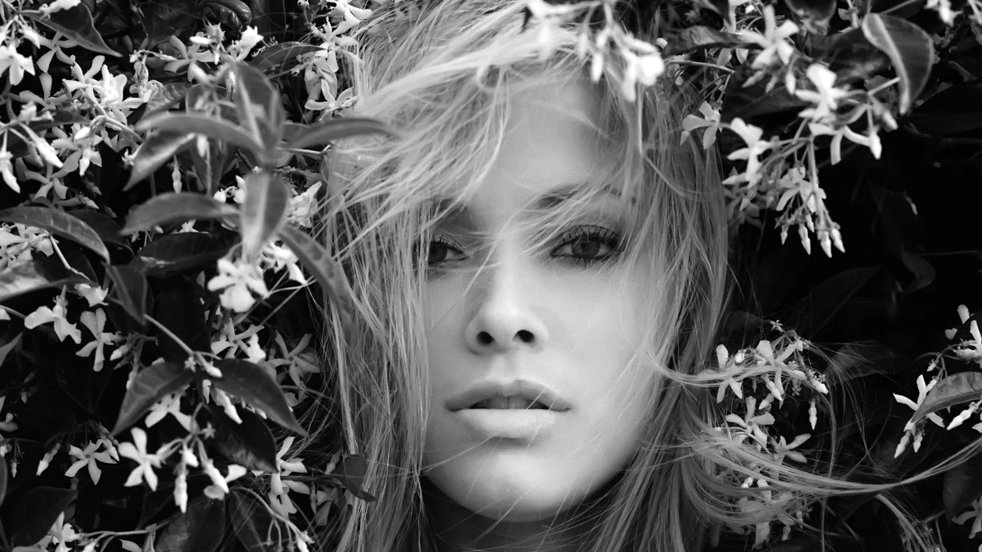актриса, kristanna loken, чб, взгляд, черный фон, лицо, волосы, цветы