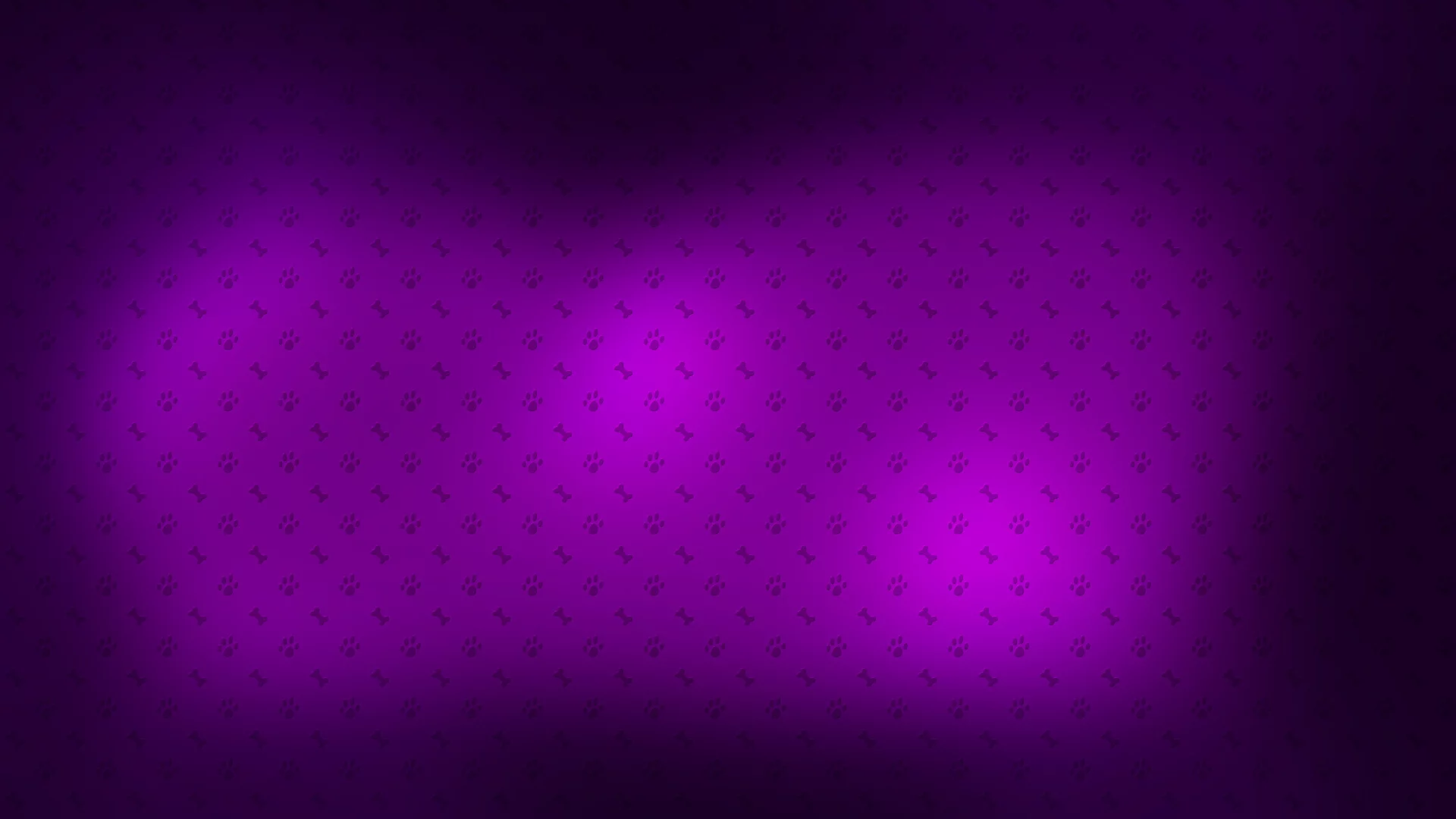 фон, 2560x1600, картинки, текстуры, лапы, обои