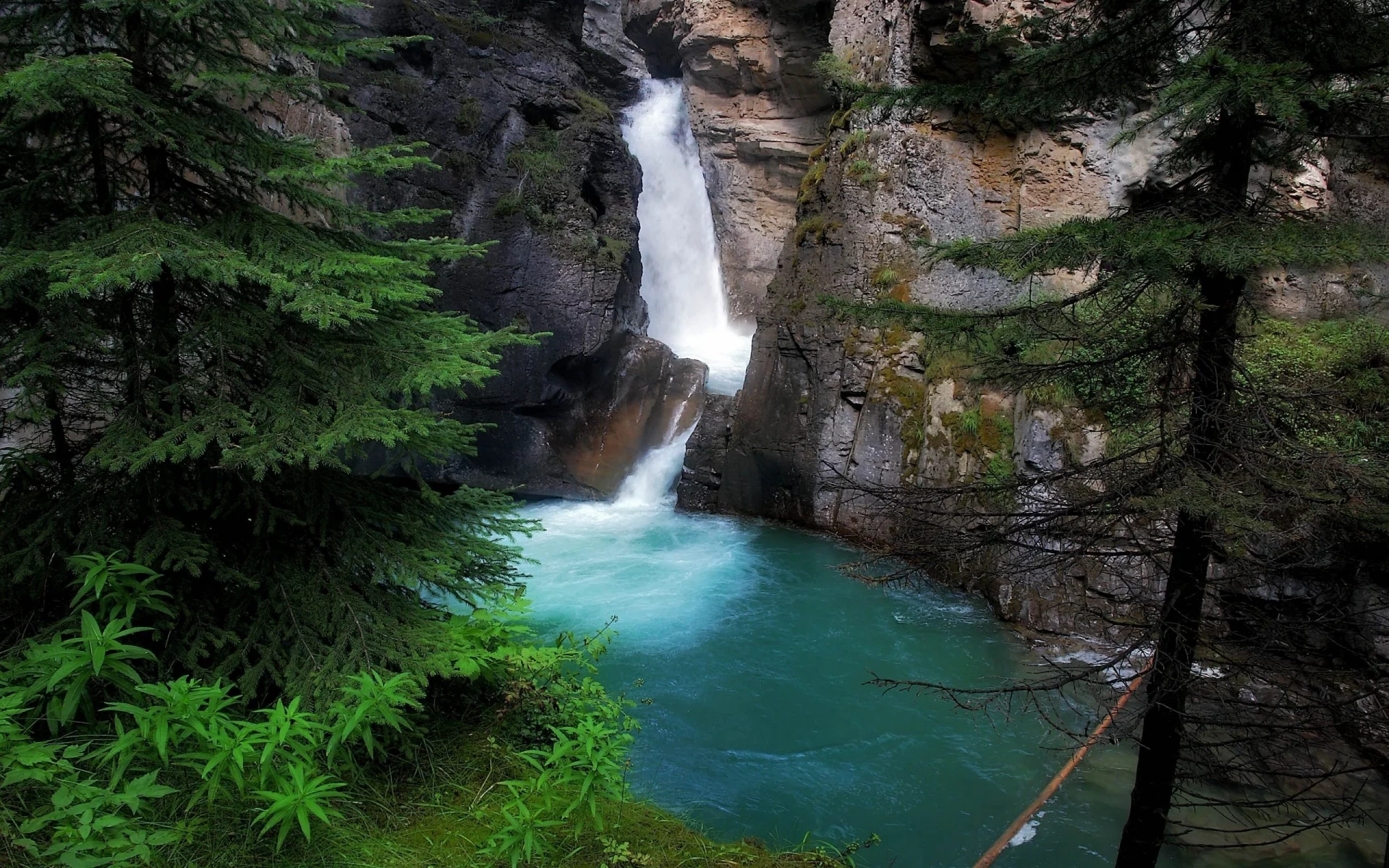 ель, водопад, скала, озеро