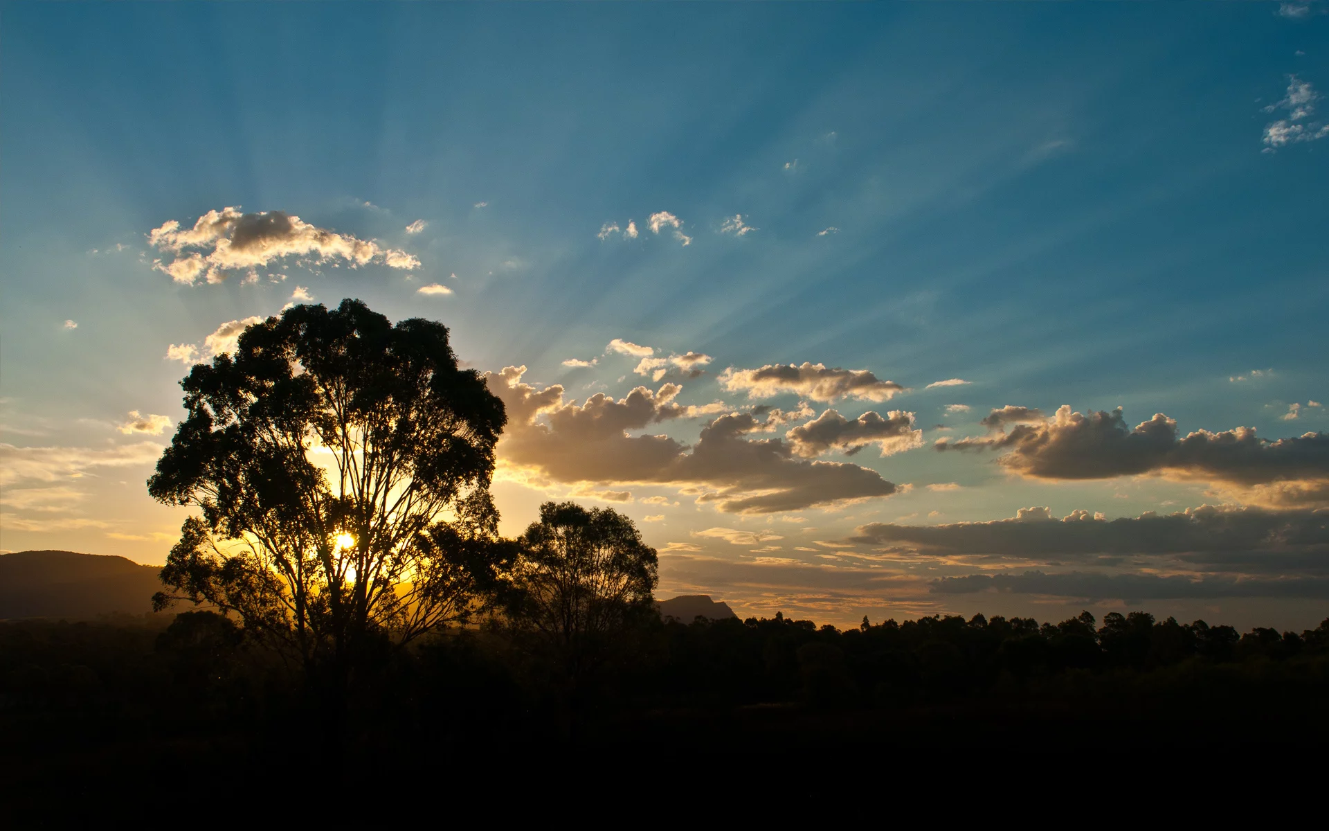 австралия, деревья, деревья, australia, лучи, облака, солнце, лес, лучи солнца, горы, закат, вечер, дерево