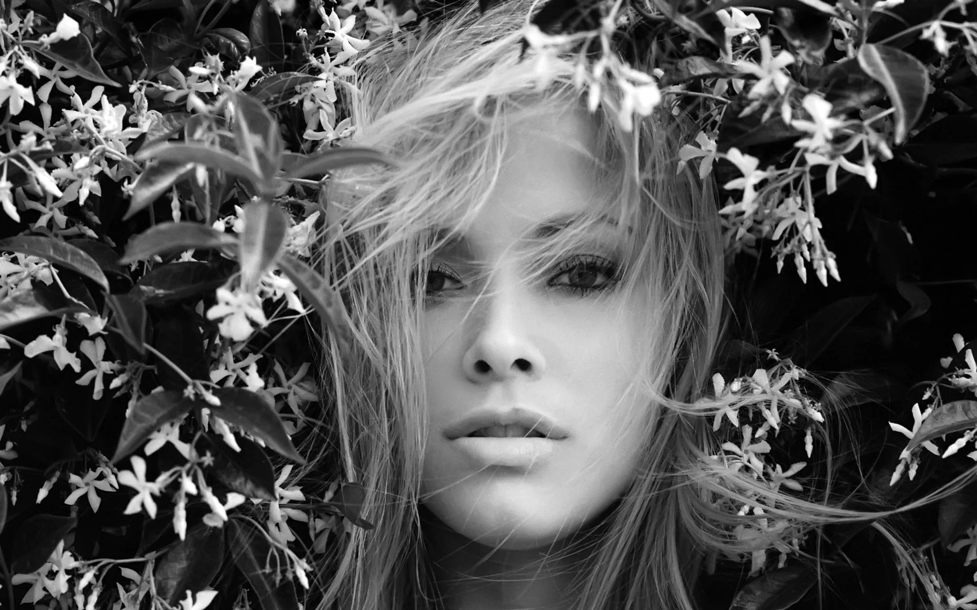 актриса, kristanna loken, чб, взгляд, черный фон, лицо, волосы, цветы