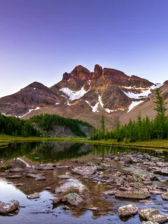 камни, горы, канада, вечер, canada, река, ели