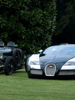 bugatti veyron, bugatti grand prix, природа, черный